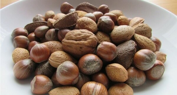 Killer Resources for Can Dogs Eat Nuts? Must Read Before Feeding!