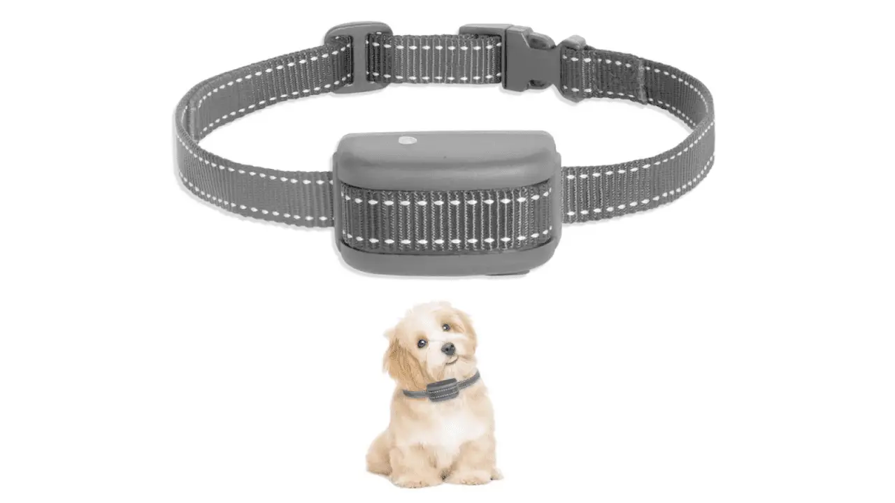 Best Citronella Bark Collar For Small Dogs
