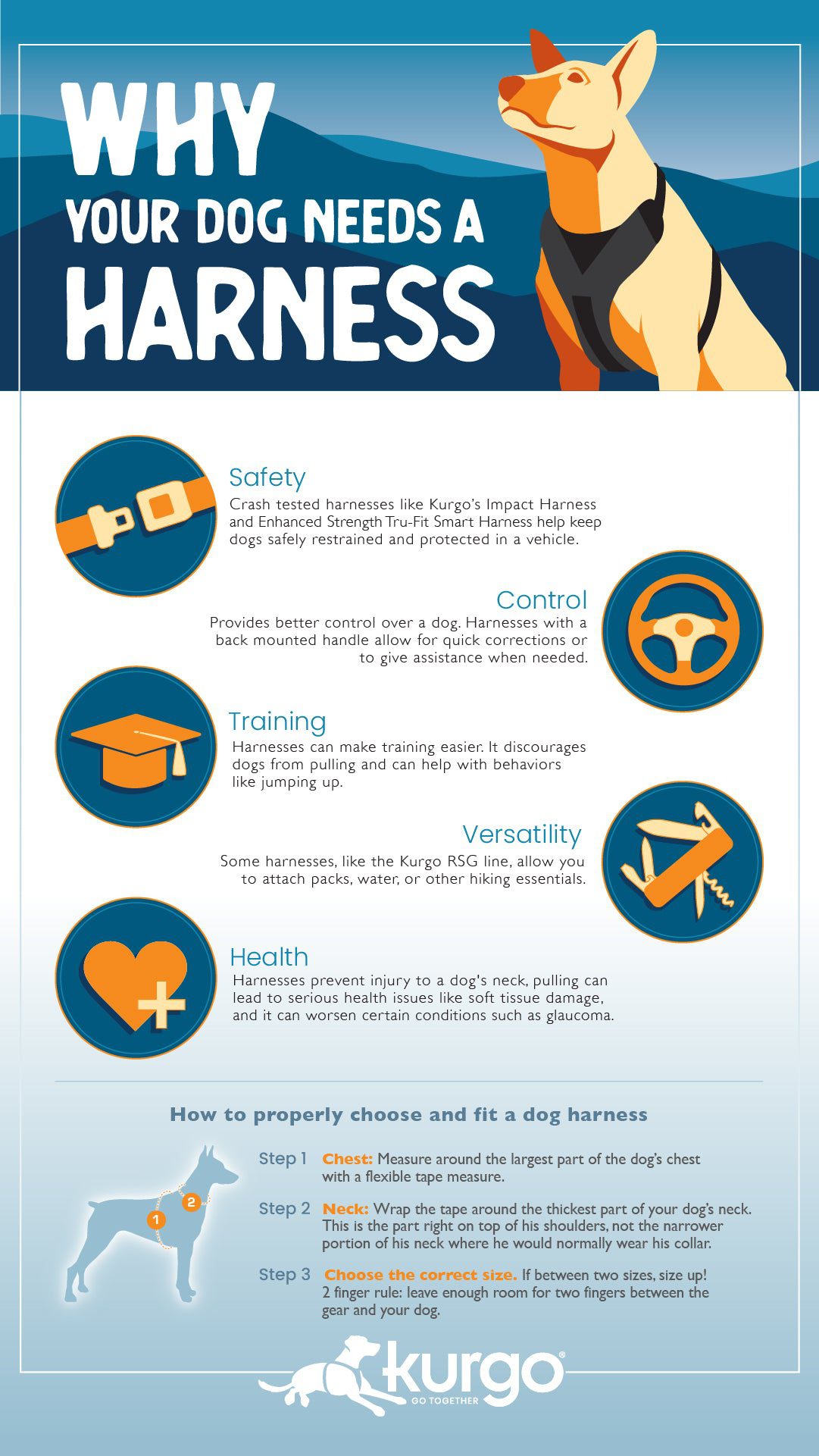 5 Reasons Why Dog Harnesses are Better Than Dog Collars