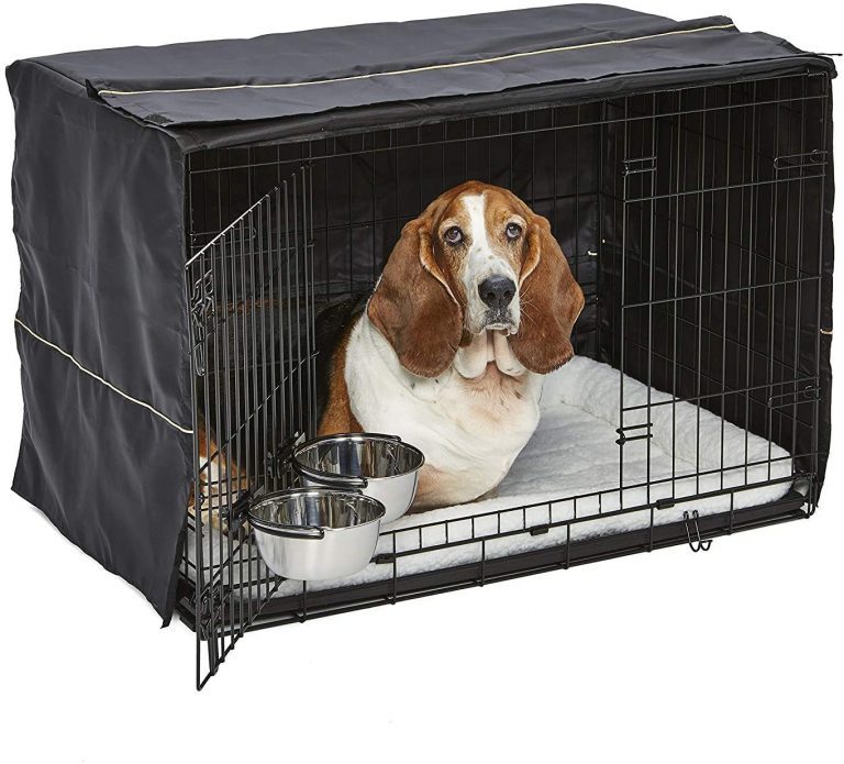 Beagle Best Houses, Kennels, and Crates