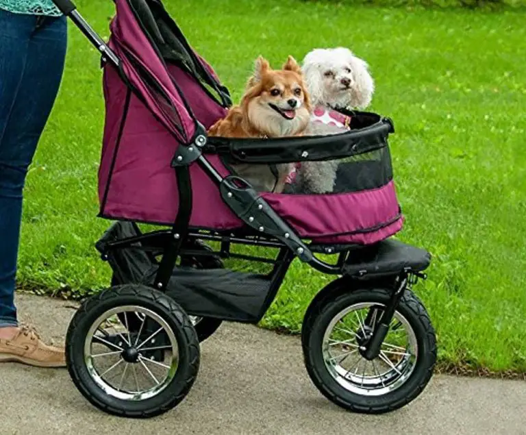 Best Dog Strollers 2022 (Review)