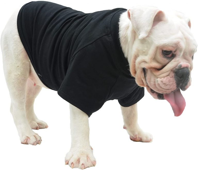 Bulldog Dog Clothes