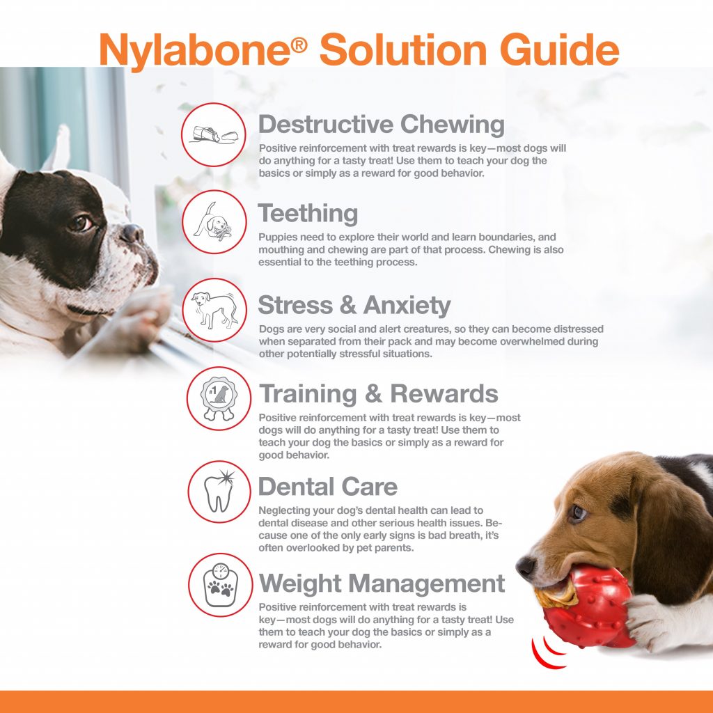 are the non edible nylabones safe for dogs