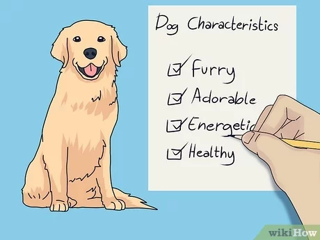 Choosing Your Family Dog