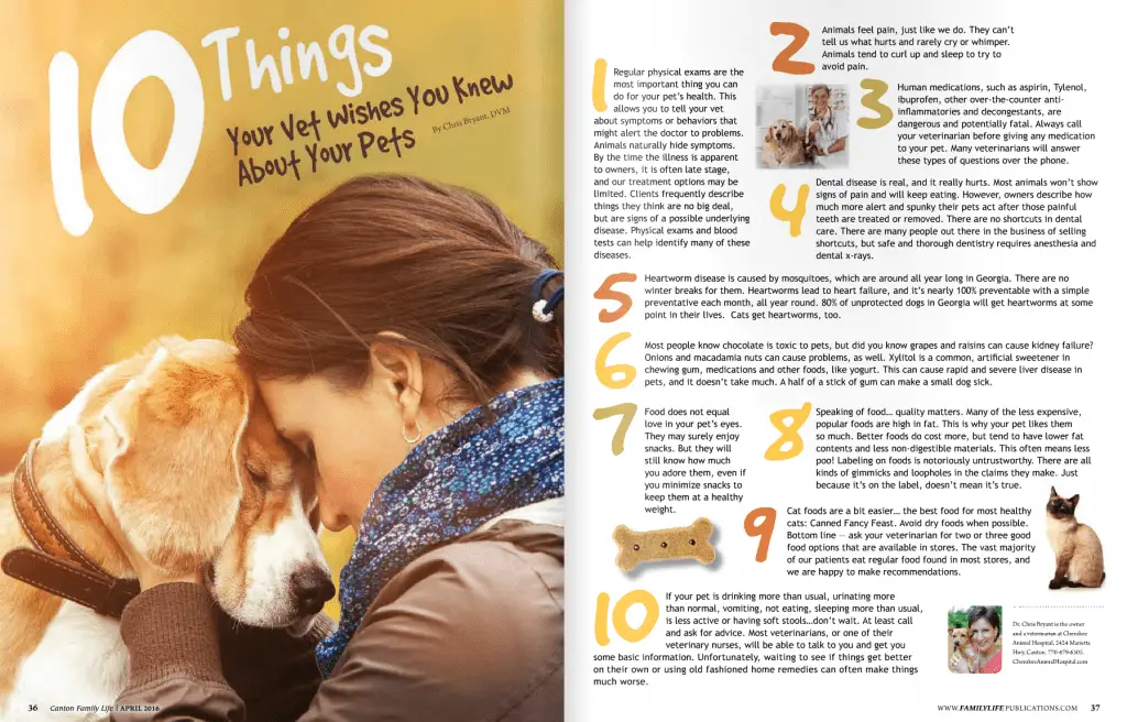 Common Pet Problems And Signs You Need To See A Vet