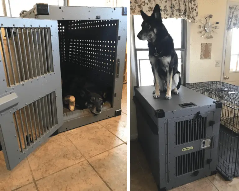 German Shepherd Kennels, Houses and Crates