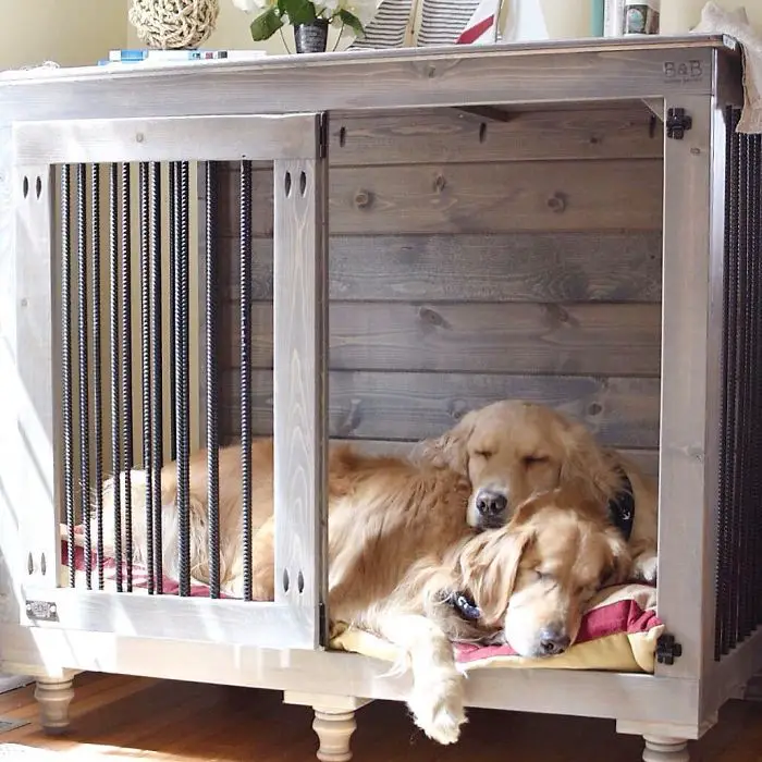 Golden Retriever Kennels, Houses and Crates