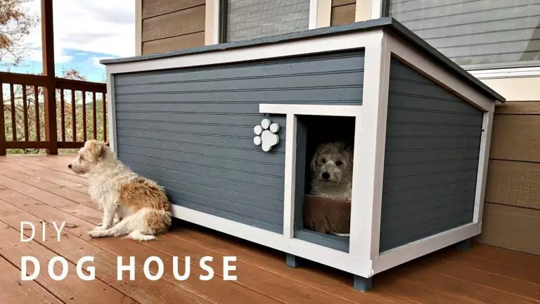 How to Create a Dog House