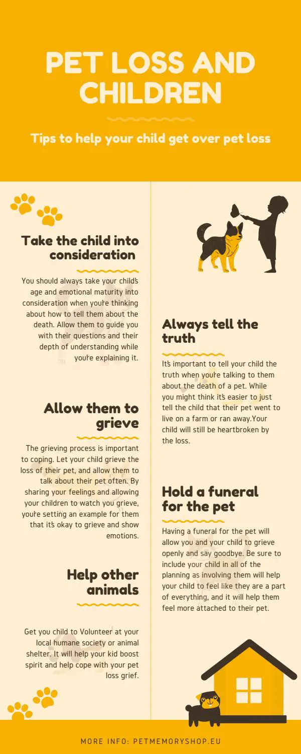 How to Help Children Cope with the Loss of their Dog