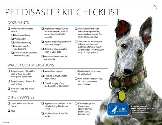 How to Keeping Your Dog Safe During a Disaster