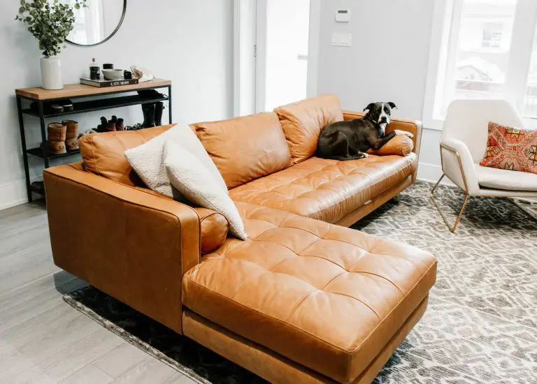 How To Protect Leather Couch From Dogs?