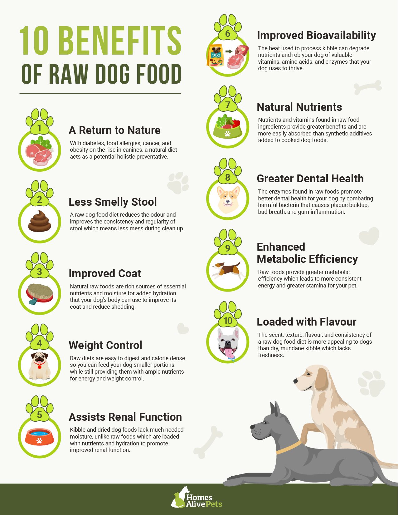 Is Raw Food Diets Best Option for Dog?