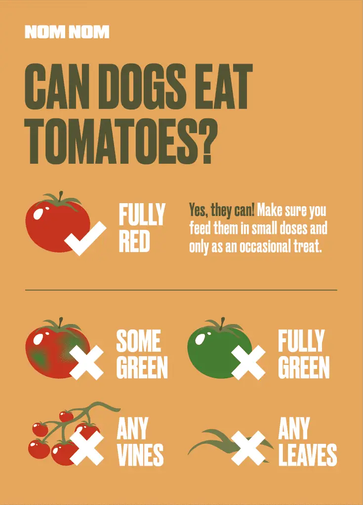 Can Dogs Eat Tomatoes