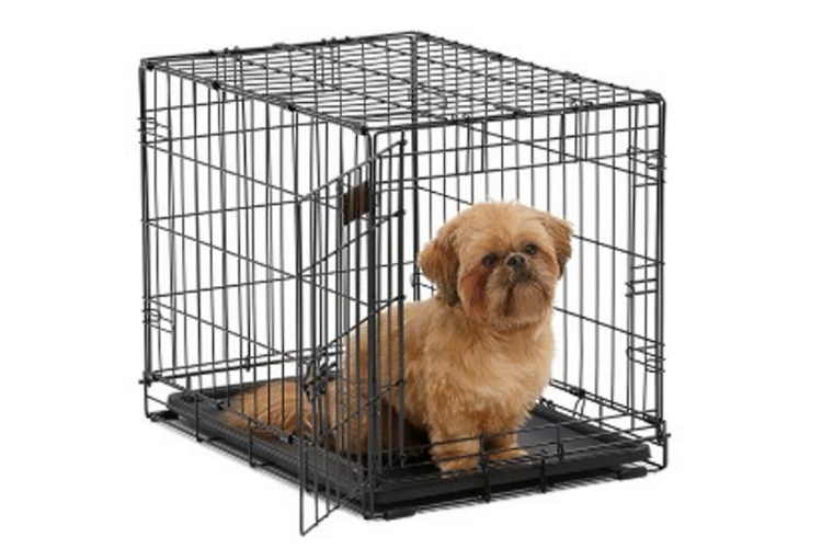 Shih Tzu Best Houses, Kennels, and Crates (Review)