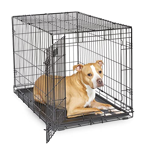 The 25 Best Dog Crates 2022 (Review)