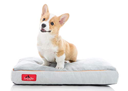 The 25 Best Small Dog Beds 2022 (Review)