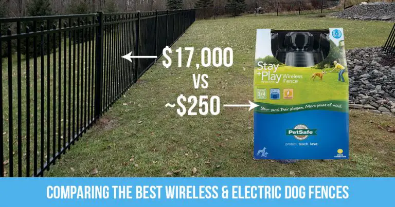The Best Wireless Dog Fences (2020 Review)
