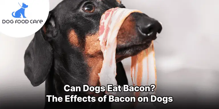 The Lazy Man’s Guide to Can Dogs Eat Bacon?