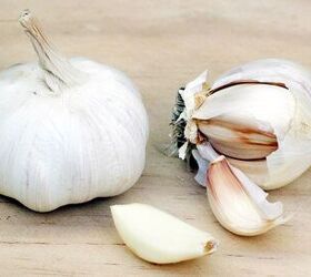 The Shocking Truth About Can Dogs Eat Garlic. Don’t Read It!