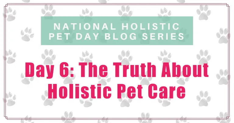 The Truth About Holistic Pet Care