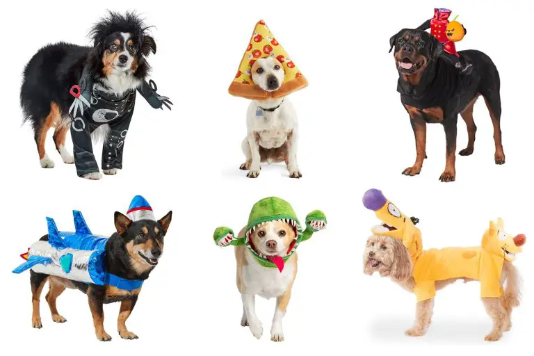 Top 10 Halloween Costumes for dogs