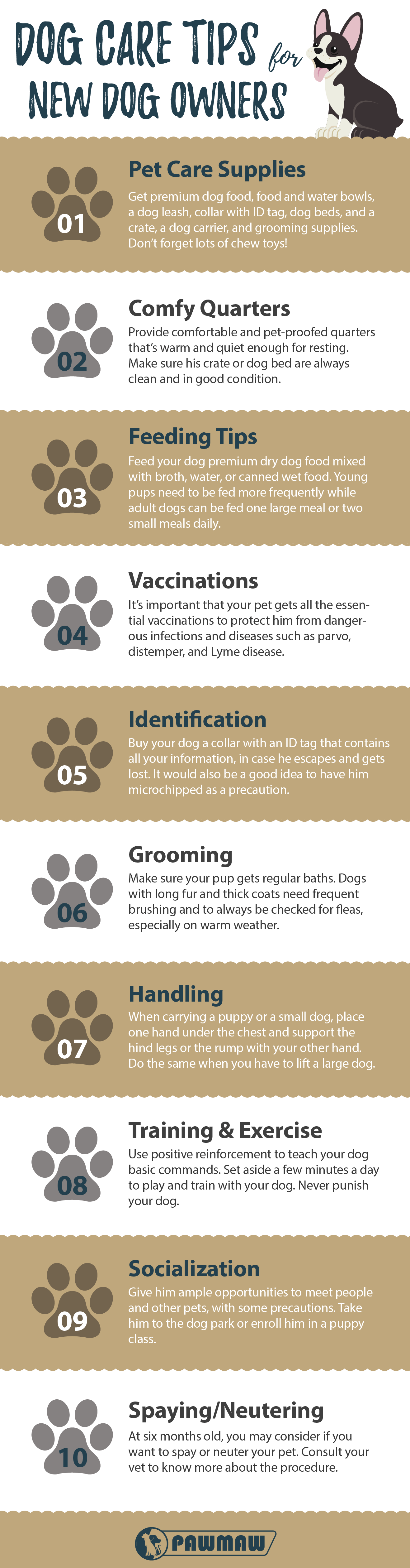 What you Should Know About Dog Care