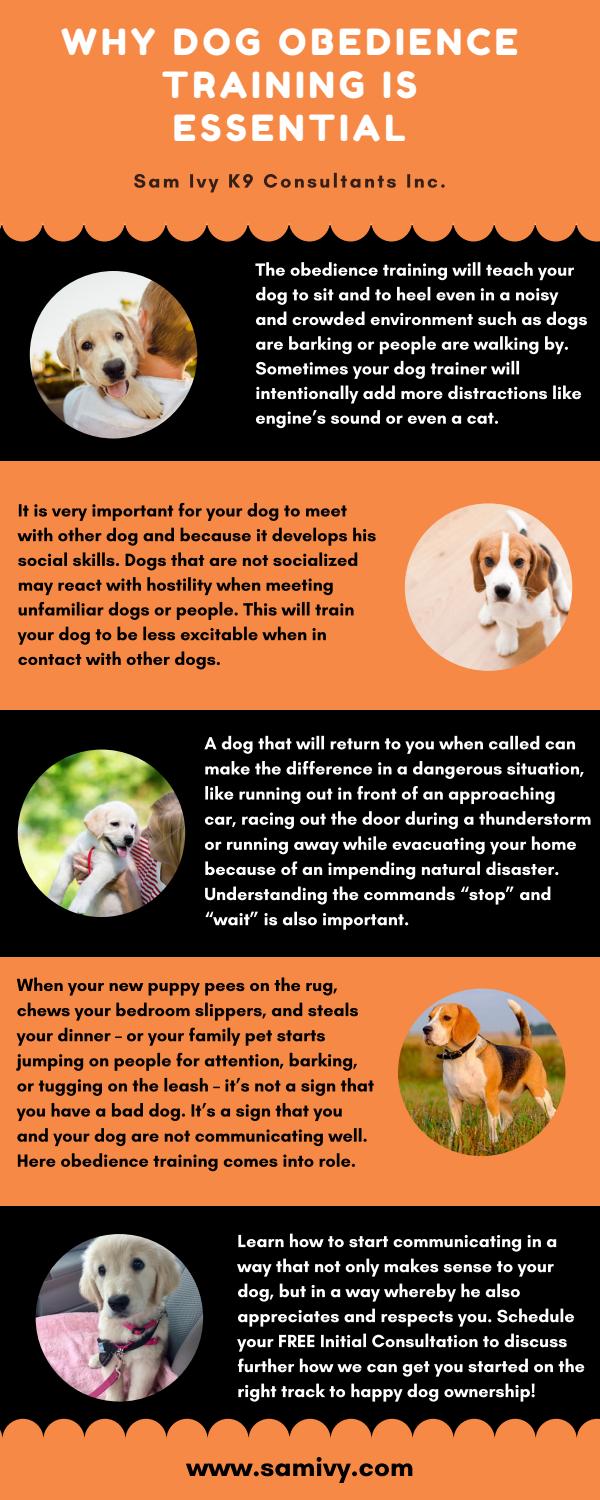 Why obedience training is crucial for dogs?