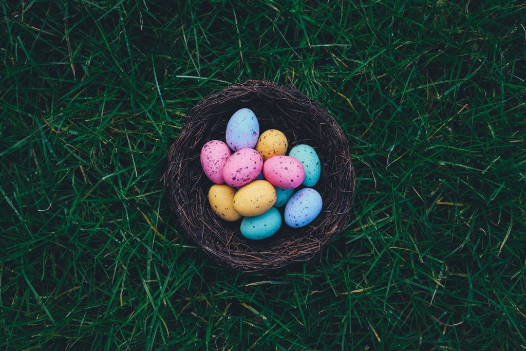 How To Run An Easter Egg Hunt For Your Dog﻿