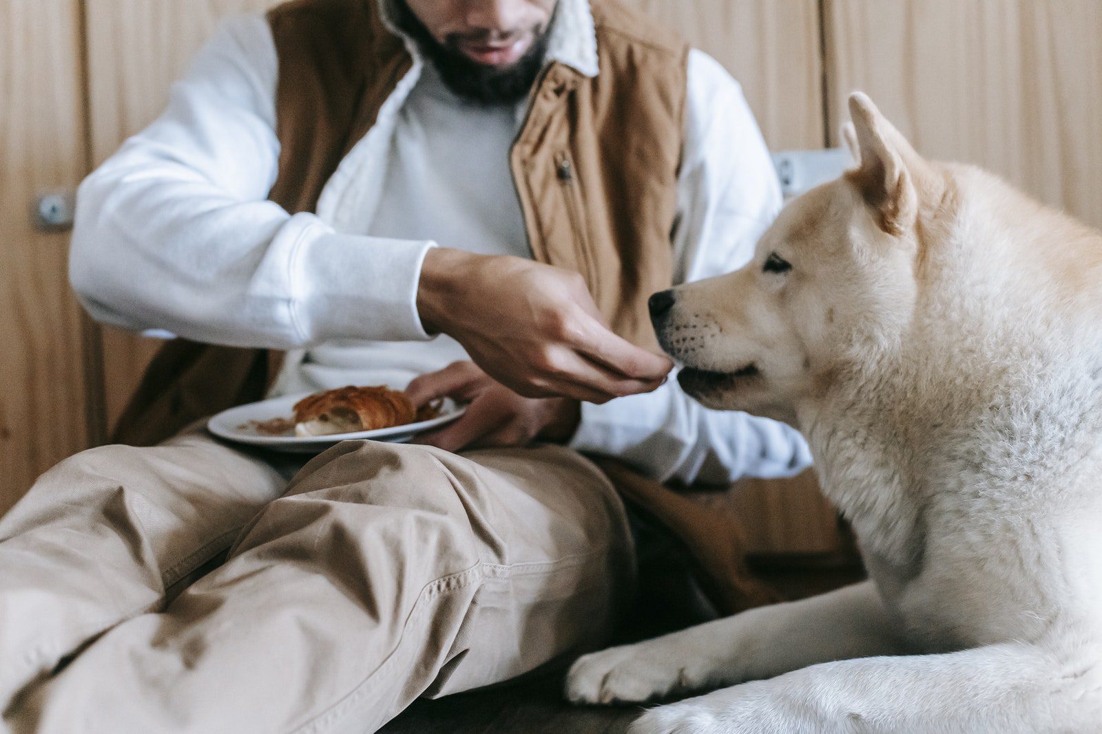 Can My Dog Eat My Leftovers?