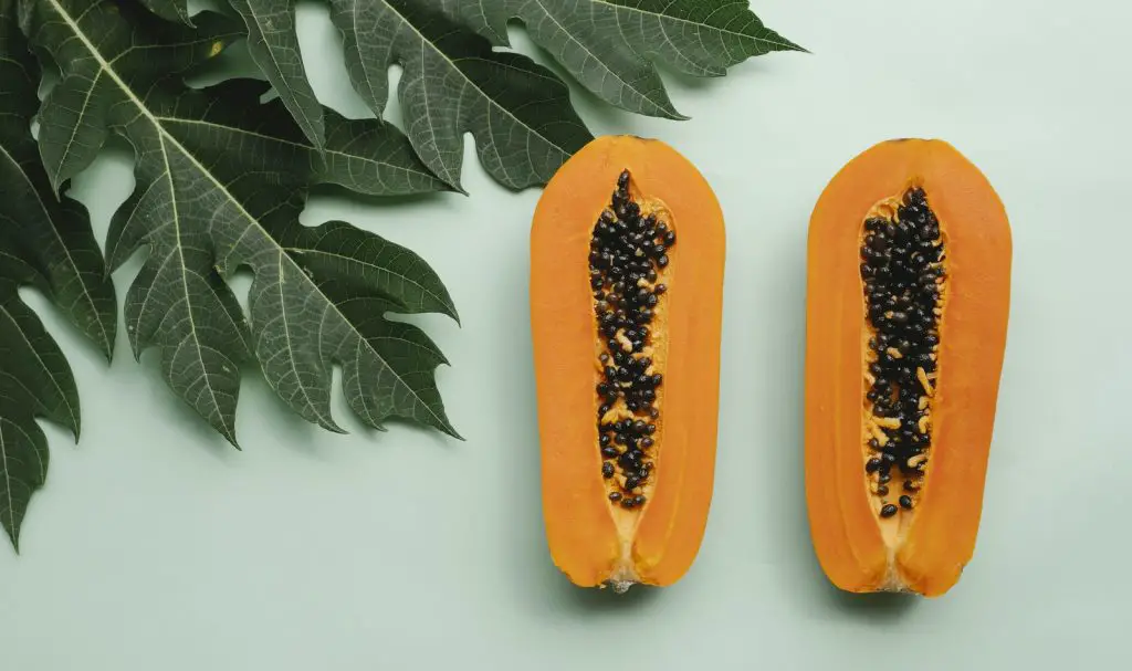 Can Dogs Eat Papaya?