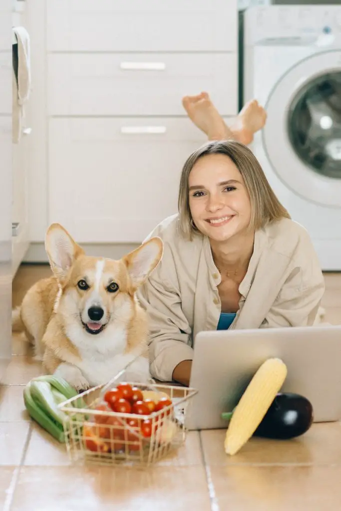 Can Dogs Eat Tomatoes?