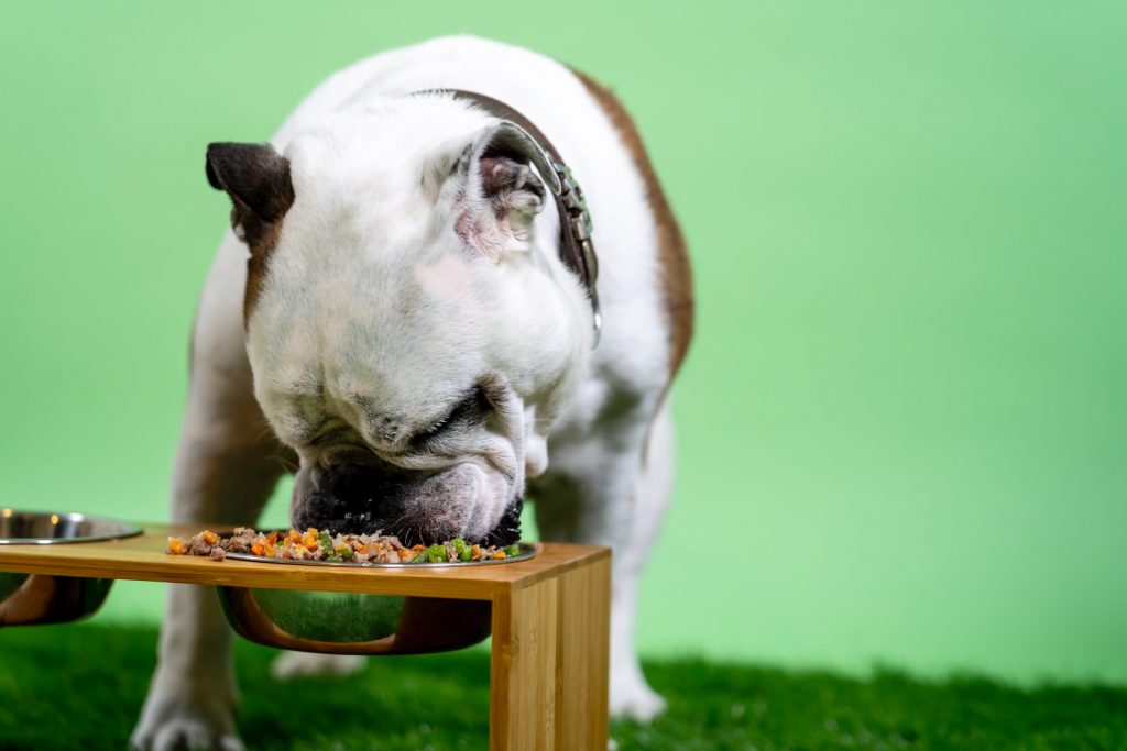 Can My Dog Eat My Leftovers?