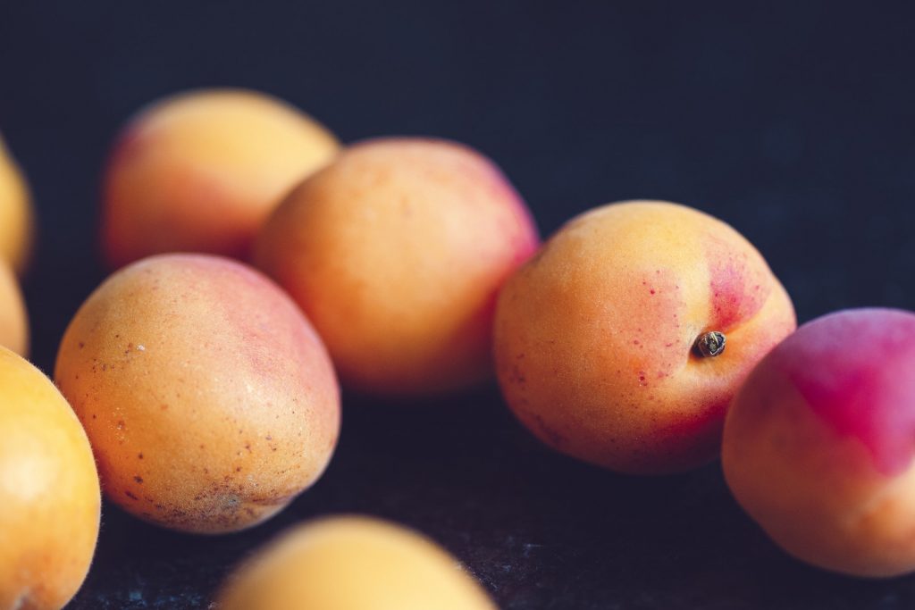 Can Dogs Eat Apricot?