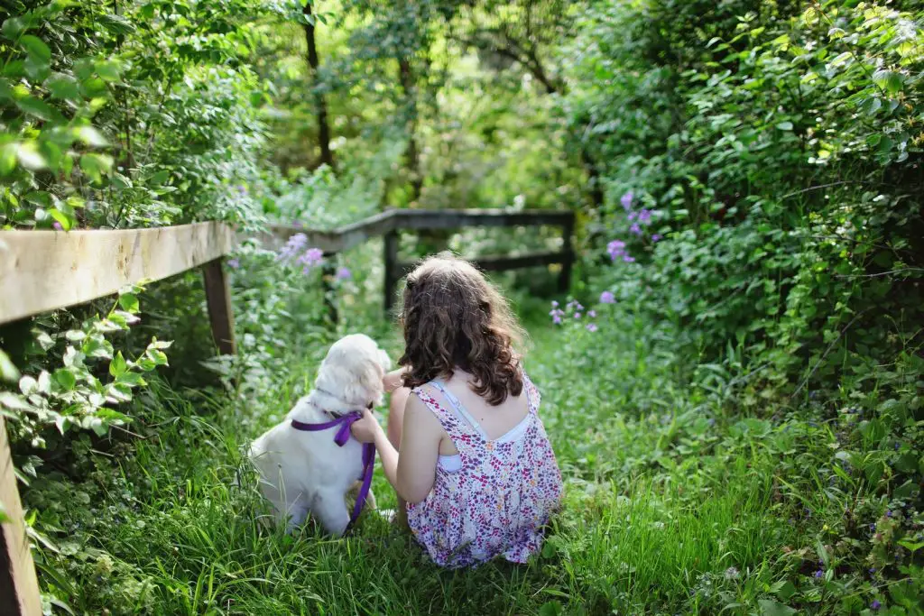 40 Ways Dogs Make The Best Babysitters