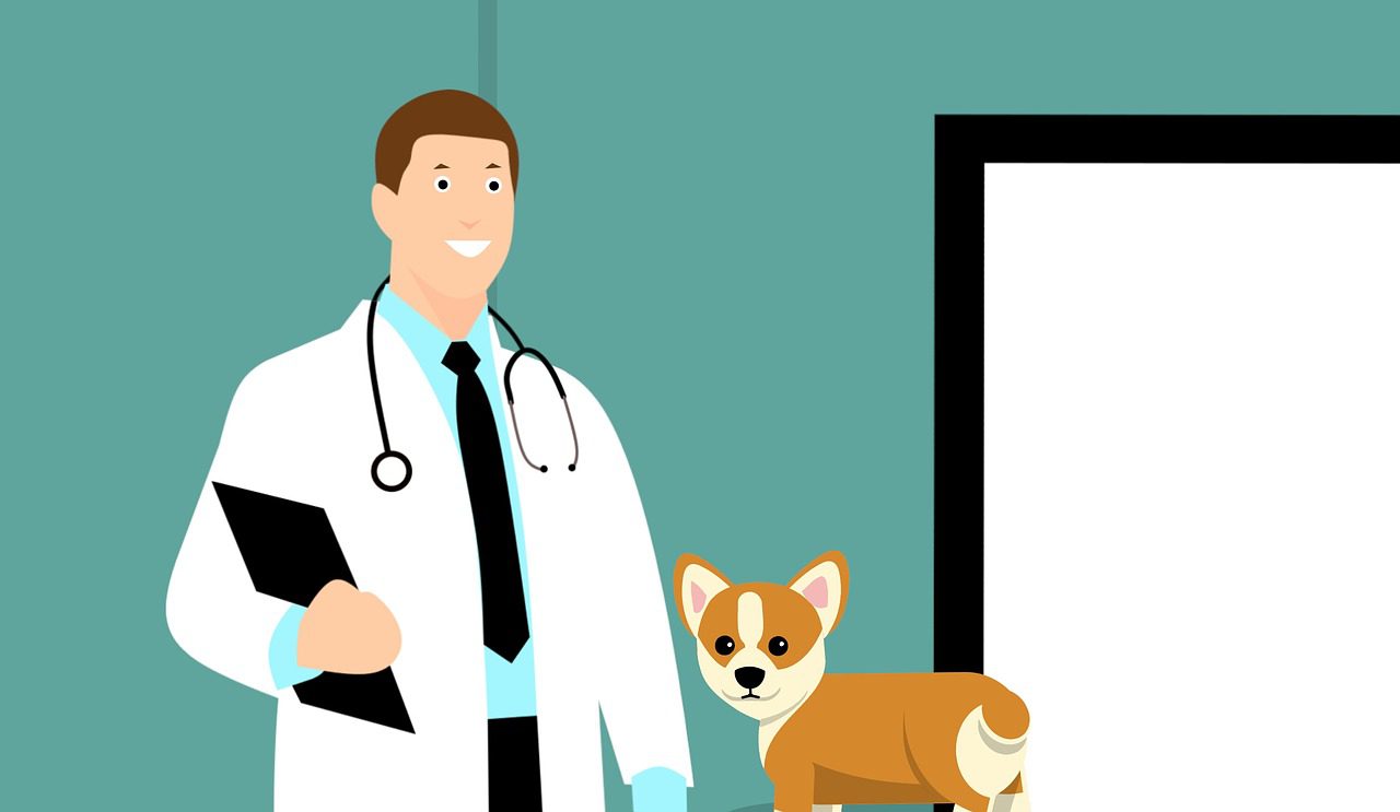 Expert Tips for Keeping Your Dog Healthy