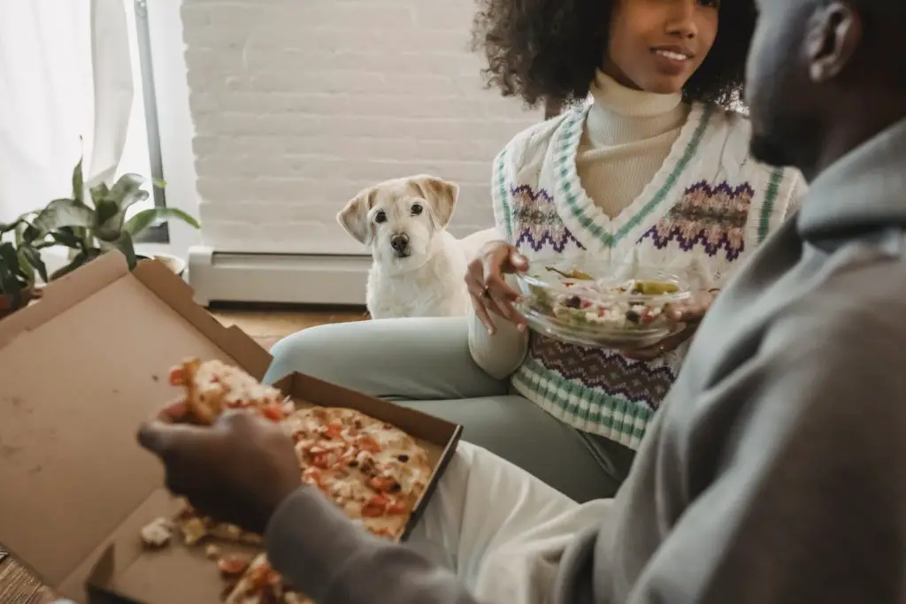 Can Dogs Eat Pizza Crust?