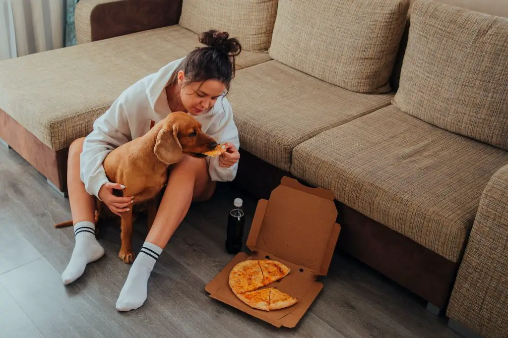 Can Dogs Eat Pizza Crust?