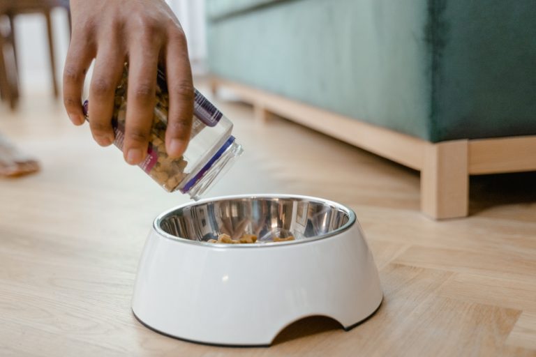 Get The Best Dry Dog Food For Loose Stools