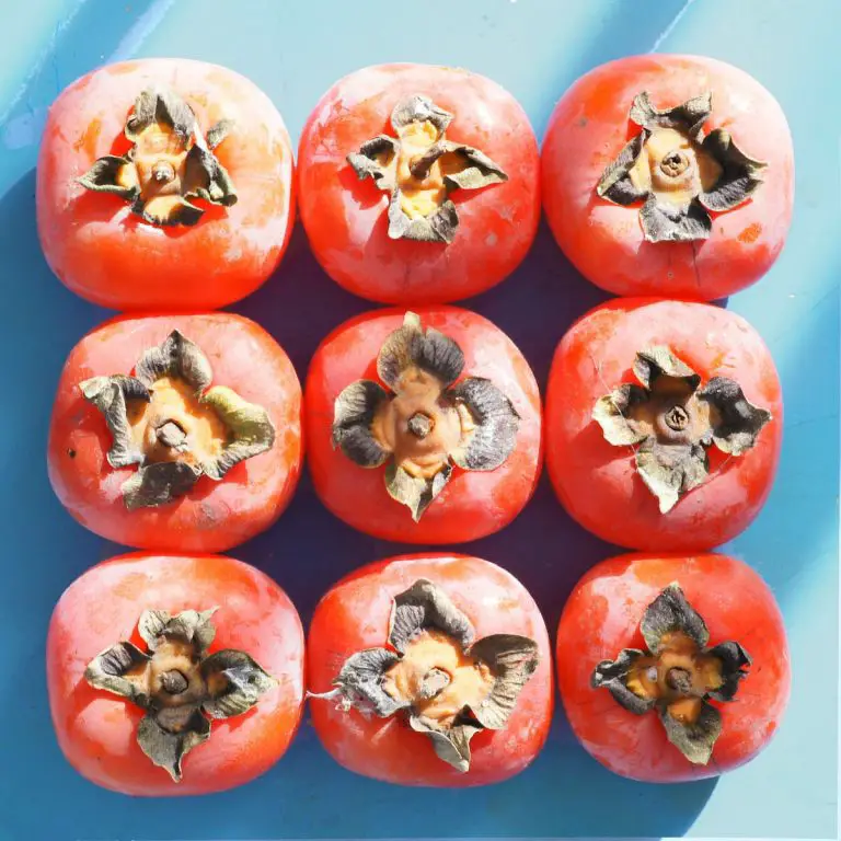 Find Out Here Can Dogs Eat Persimmons?