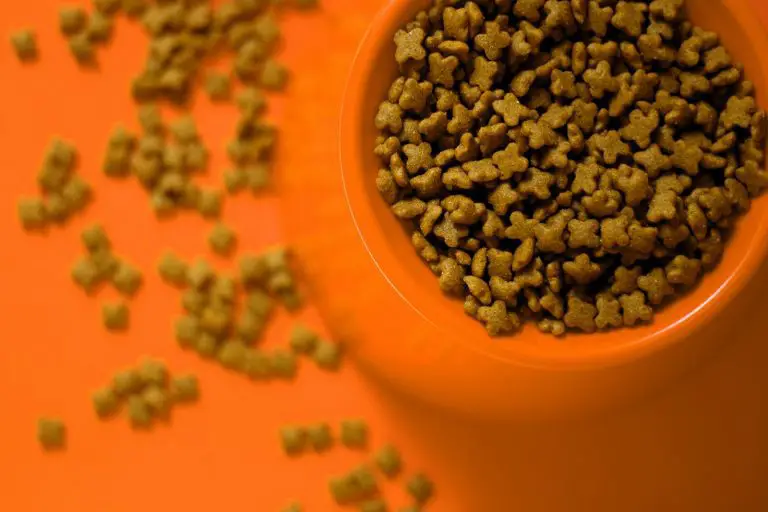 Your Guide To The Best Dry Dog Food For Diabetic Dogs