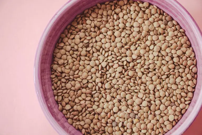 Can Dogs Eat Lentils: The World’s Healthiest Food