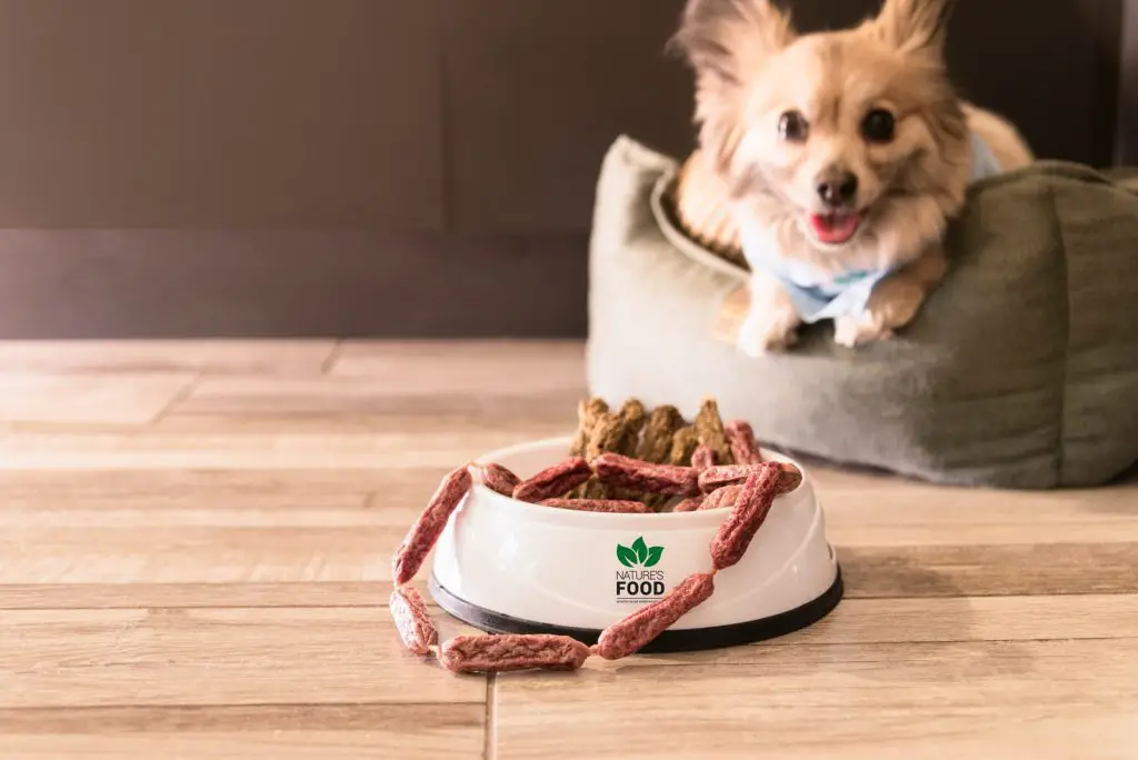 Can Dogs Eat Canned Chicken