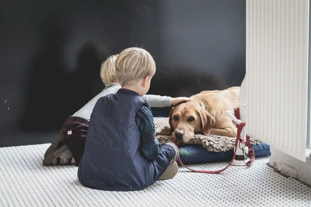 40 Ways Dogs Make The Best Babysitters