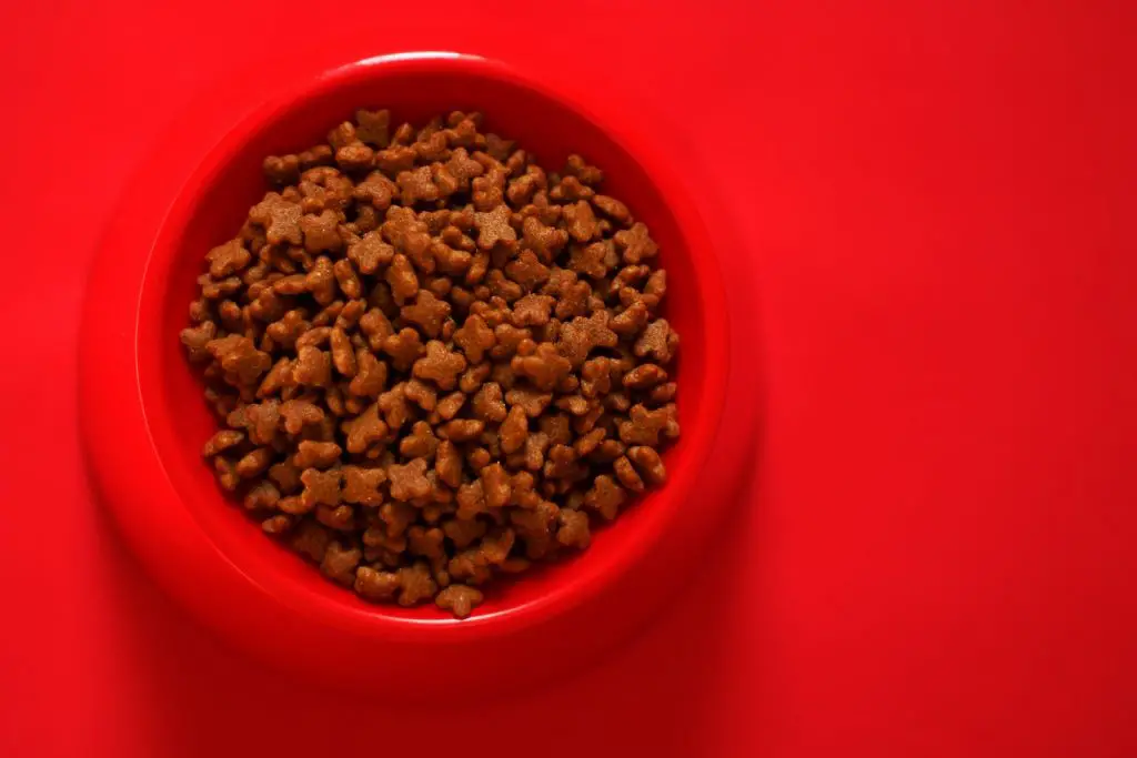 Best Dry Dog Food For Loose Stools